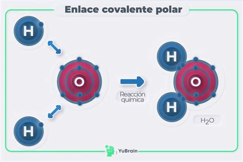 enlace covalente polar